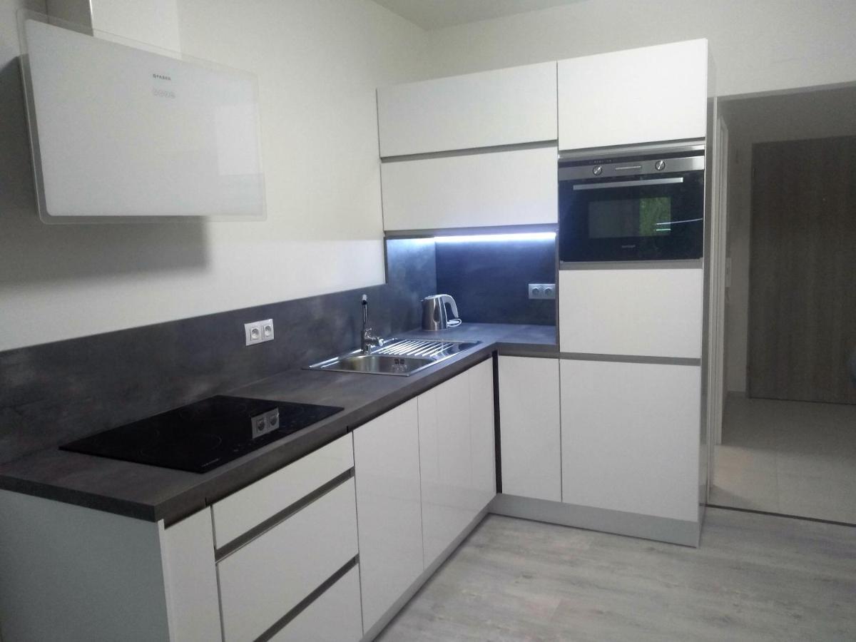 U Parku Apartment *